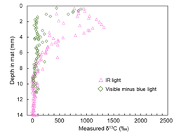 Graph 1.png